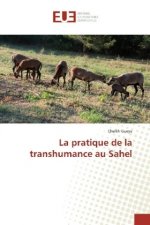 La pratique de la transhumance au Sahel