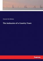Jealousies of a Country Town