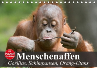 Menschenaffen. Gorillas, Schimpansen, Orang-Utans (Tischkalender 2018 DIN A5 quer)