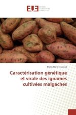 Caractérisation génétique et virale des ignames cultivées malgaches