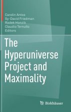 Hyperuniverse Project and Maximality