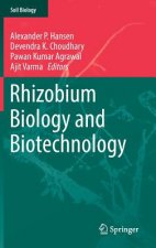 Rhizobium Biology and Biotechnology