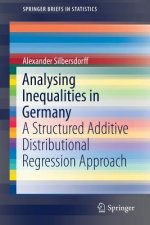 Analysing Inequalities in Germany