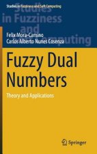 Fuzzy Dual Numbers