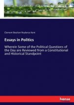 Essays in Politics