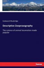Descriptive Zoopraxography