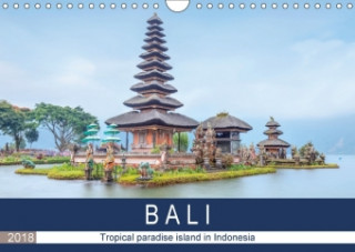 Bali, tropical paradise island in Indonesia 2018