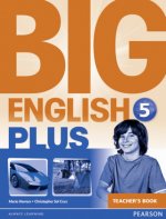Big English Plus American Edition 5 Teacher's Book