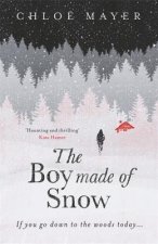 Boy Made of Snow