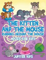 Kitten and The Mouse Running Around The House