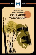 Analysis of Jared M. Diamond's Collapse
