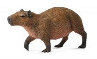 Kapibara M