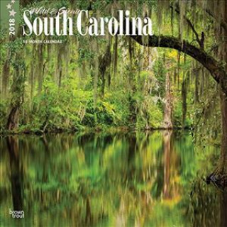 2018 South Carolina, Wild & Scenic Wall Calendar