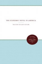 Economic Novel in America