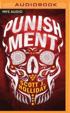 Punishment: A Thriller