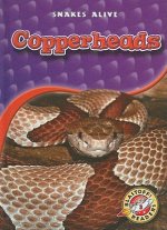 Copperheads