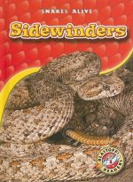 Sidewinders