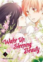 Wake Up, Sleeping Beauty 3