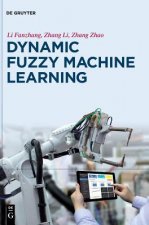 Dynamic Fuzzy Machine Learning