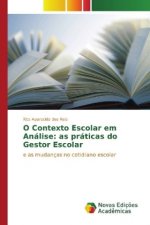 O Contexto Escolar em Análise: as práticas do Gestor Escolar