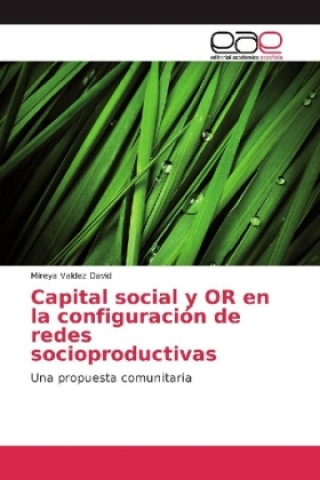 Capital social y OR en la configuración de redes socioproductivas