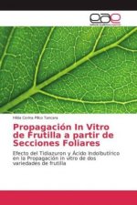 Propagación In Vitro de Frutilla a partir de Secciones Foliares