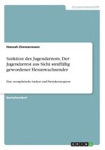 Sanktion des Jugendarrests. Der Jugendarrest aus Sicht straffällig gewordener Heranwachsender