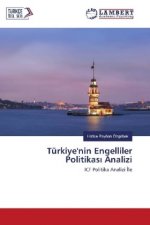 Türkiye'nin Engelliler Politikas Analizi