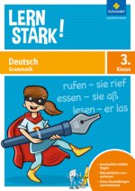 LERNSTARK, m. 1 Buch, m. 1 Online-Zugang