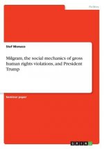 Milgram, the social mechanics of gross human rights violations, and President Trump