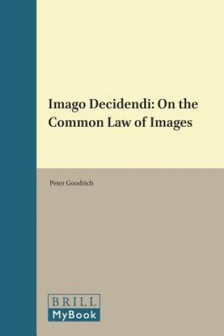 Imago Decidendi: On the Common Law of Images