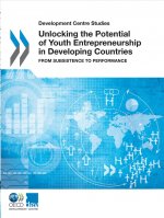 Unlocking the Potential of Youth Entrepreneurship in Developing Countries: From Subsistence to Performance