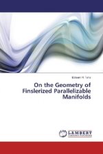 On the Geometry of Finslerized Parallelizable Manifolds