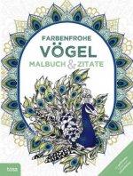 Farbenfrohe Vögel