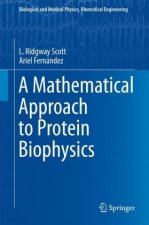 Mathematical Approach to Protein Biophysics