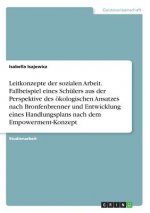 Leitkonzepte der sozialen Arbeit. Fallbeispiel eines Schülers aus der Perspektive des ökologischen Ansatzes nach Bronfenbrenner und Entwicklung eines