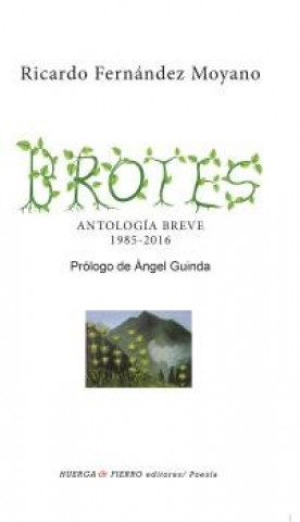 Brotes