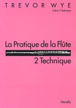 La Pratique De La Flute