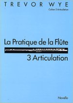 La Pratique De La Flute