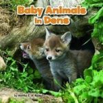 Baby Animals and Their Homes Pack A of 4