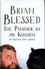 Panther In My Kitchen