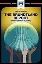 Analysis of The Brundtland Commission's Our Common Future