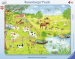 Spaziergang auf dem Land. Kinderpuzzle 48 Teile