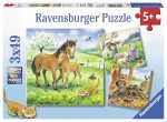 Kuschelzeit. Kinderpuzzle 3 x 49 Teile