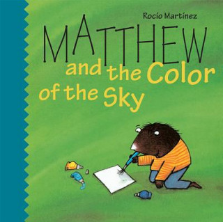 Matthew and the Color of the Sky Big Book