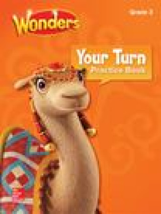 Your Turn Practice Book Grade 3