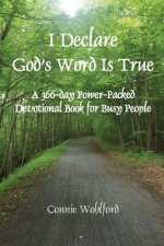 I Declare God's Work Is True: A 366-Day Power-Packed Devotional Book for Busy People