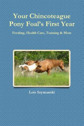 Your Chincoteague Pony Foal's First Year