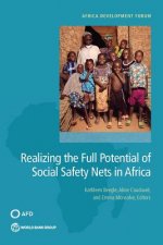Realizing the full potential of social safety nets in Africa