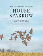 Triumphant Tale of the House Sparrow